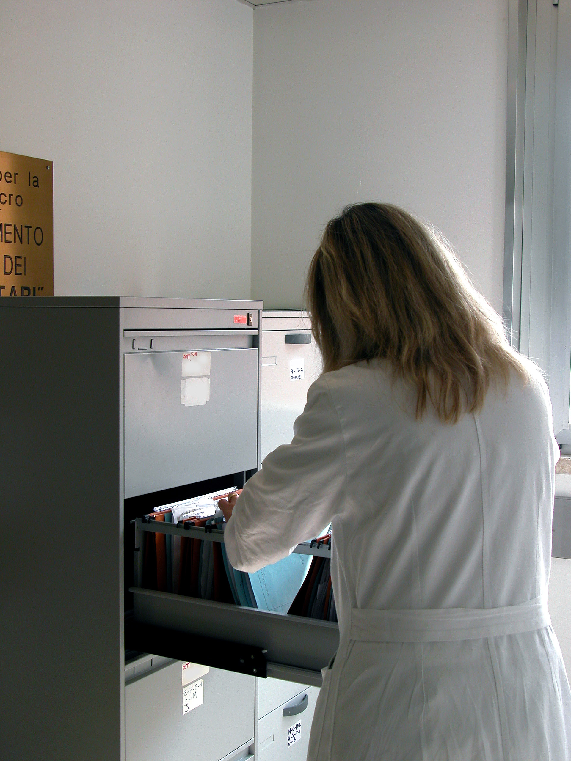 Foreign Language Interpreters for Medical Examinations and the...