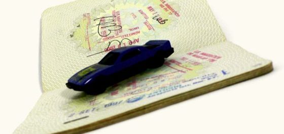 immigration document translation service